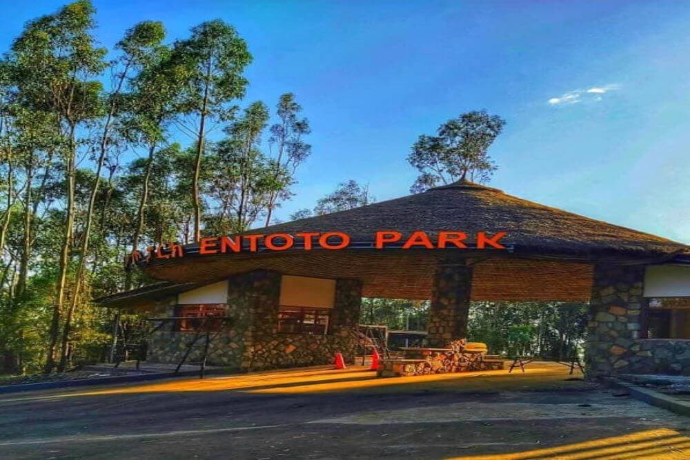 Entoto Park — Addis Ababa