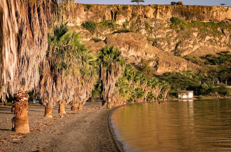 Palm-lined Lake Langano shoreline on an Ethiopia bird watching tour