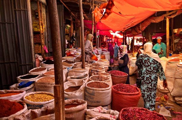 Sacks of spices and chilies under an orange canopy at the Harar market, Ethiopia