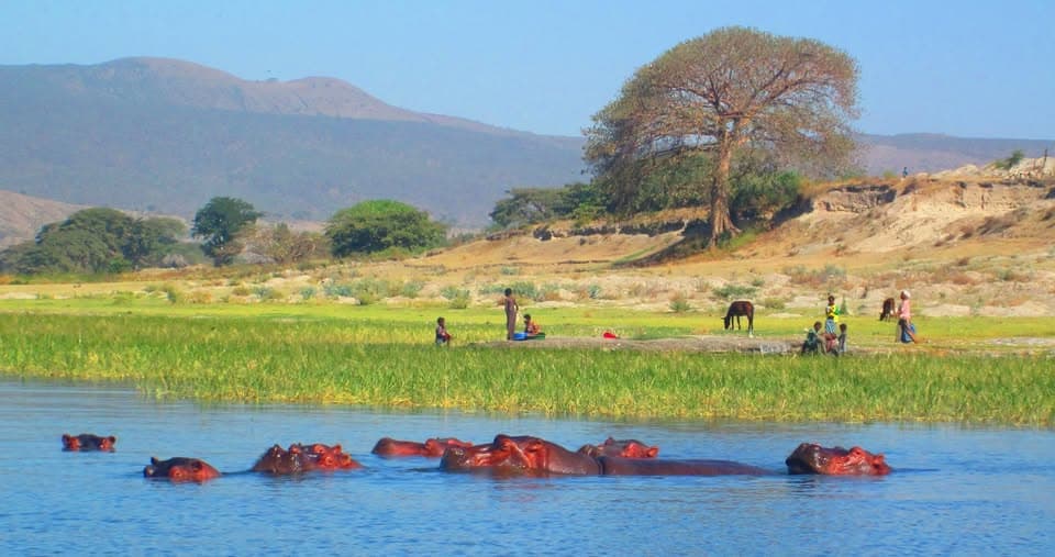 Rift Lakes — Hawassa