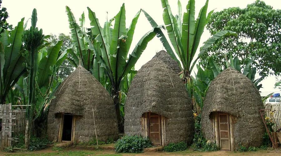 Dorze bamboo houses and village life in the Gamo Highlands, Ethiopia