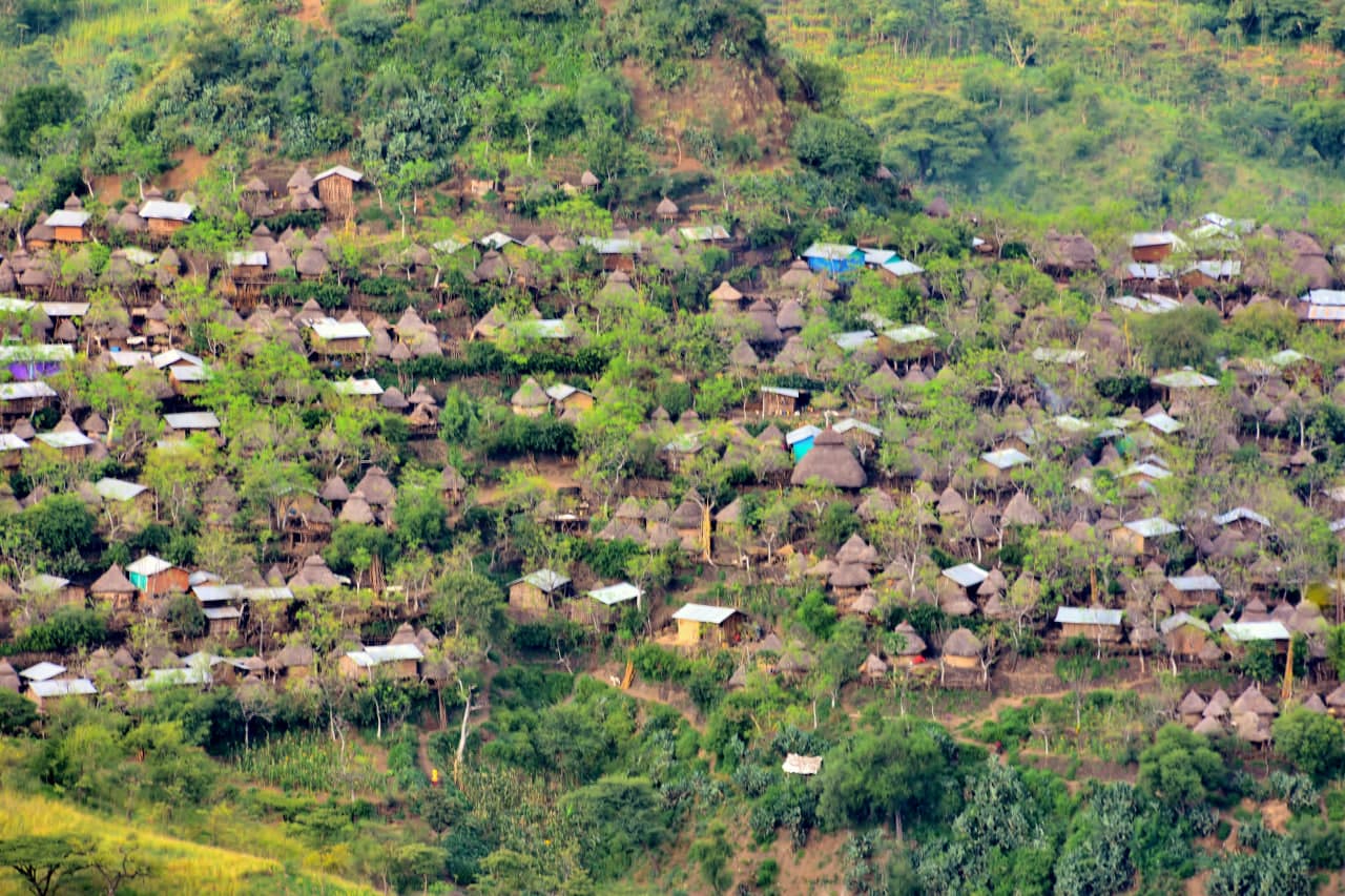 Traditional Dorze bamboo houses in the Gamo Highlands, Ethiopia