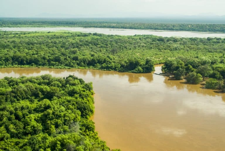 Aerial view of the Omo River winding through forest in Omo National Park, Ethiopia