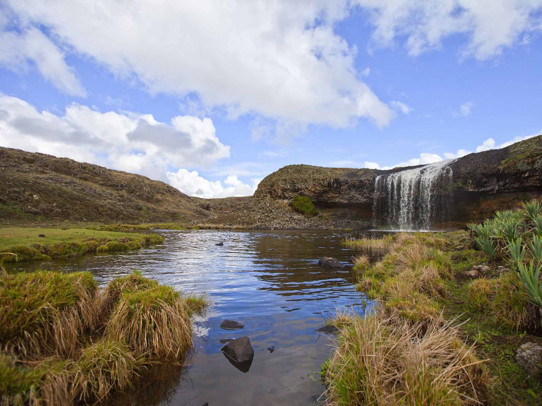 3 Days — Bale Mountains National Park — photo 2