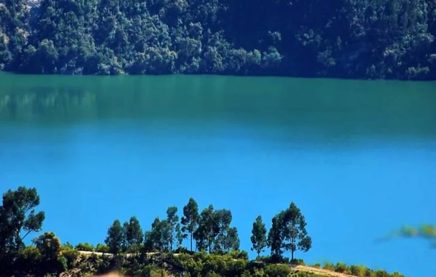 Ethiopia Tour Services