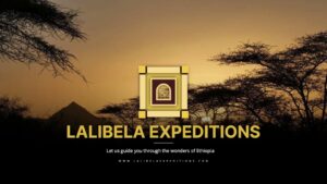 Lalibela Expeditures