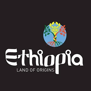 land of origins ethiopia logo